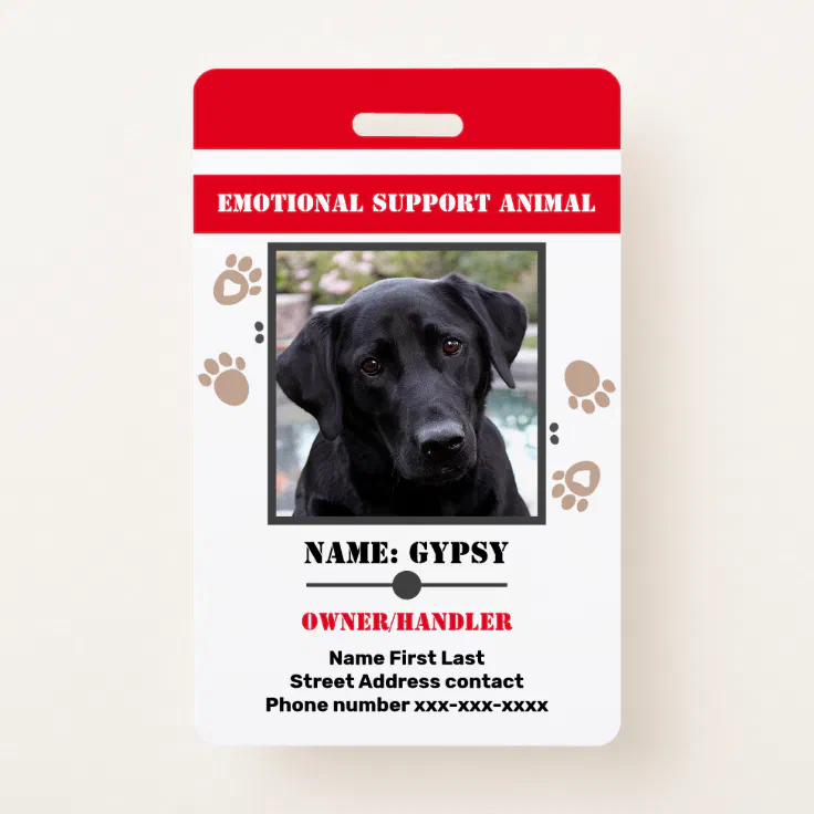 How To Make A Service Dog Id Card